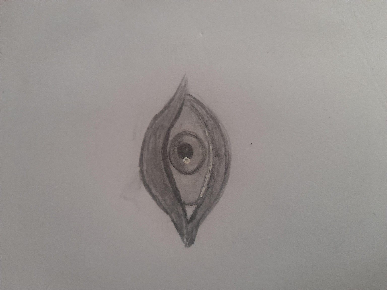 eyes - image 1 - student project