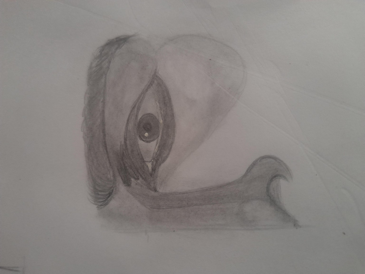 eyes - image 2 - student project
