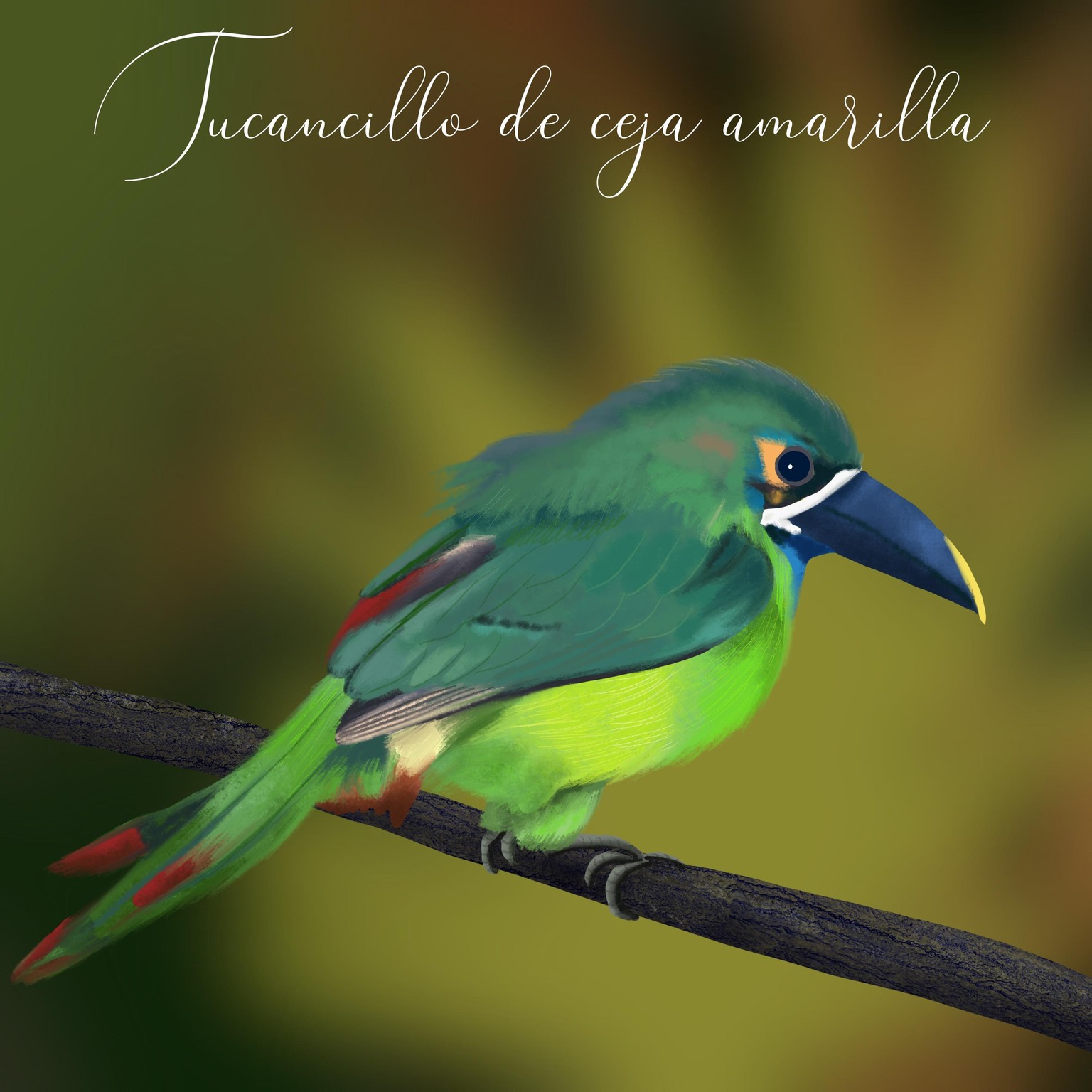 Peruvian Endangered Birds - image 2 - student project