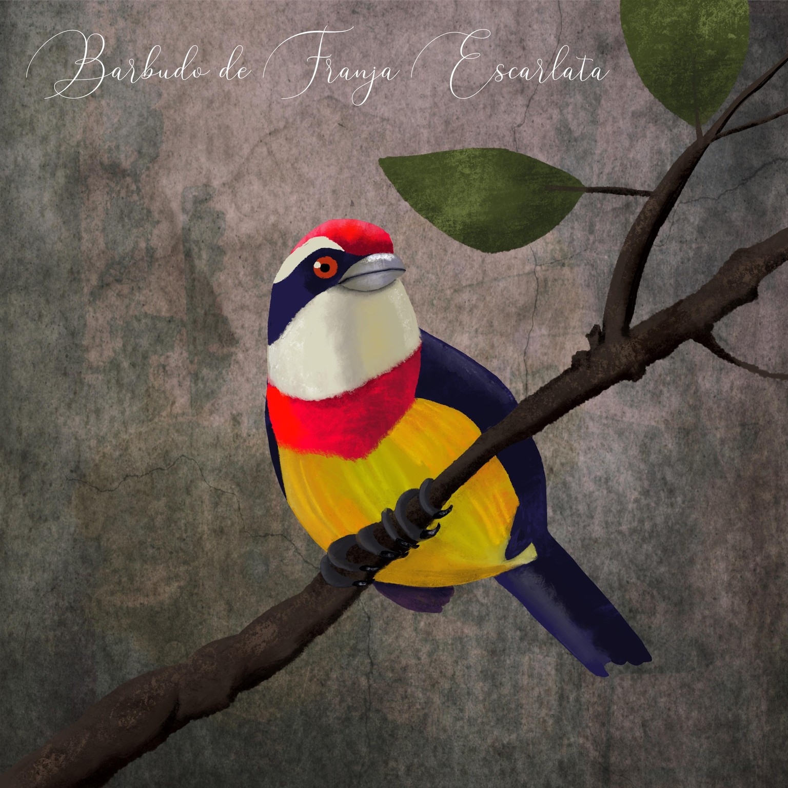 Peruvian Endangered Birds - image 4 - student project