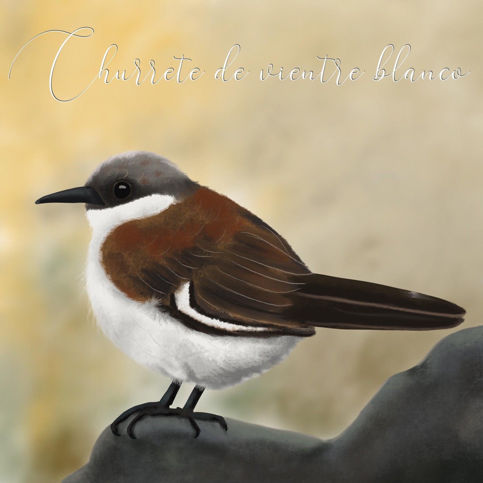 Peruvian Endangered Birds - image 1 - student project