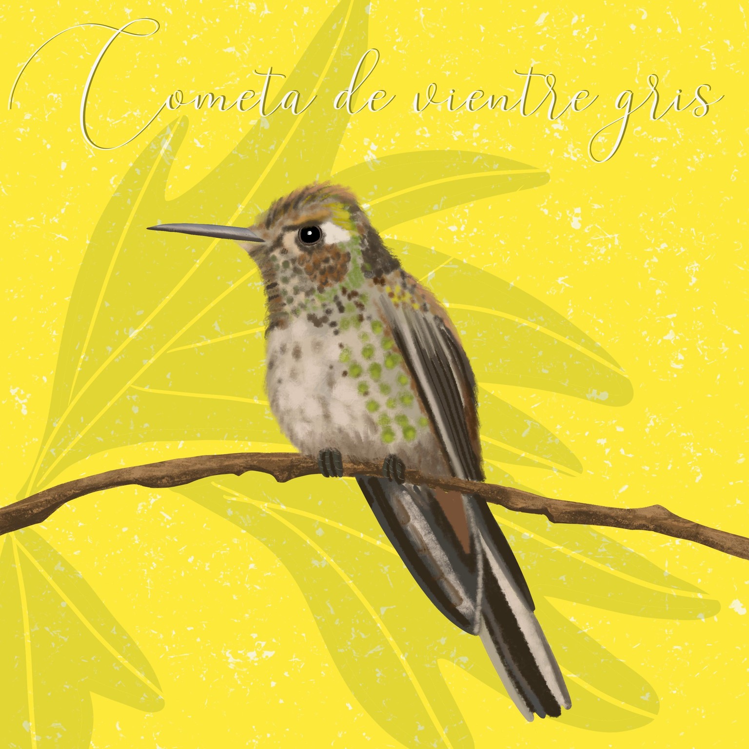 Peruvian Endangered Birds - image 3 - student project