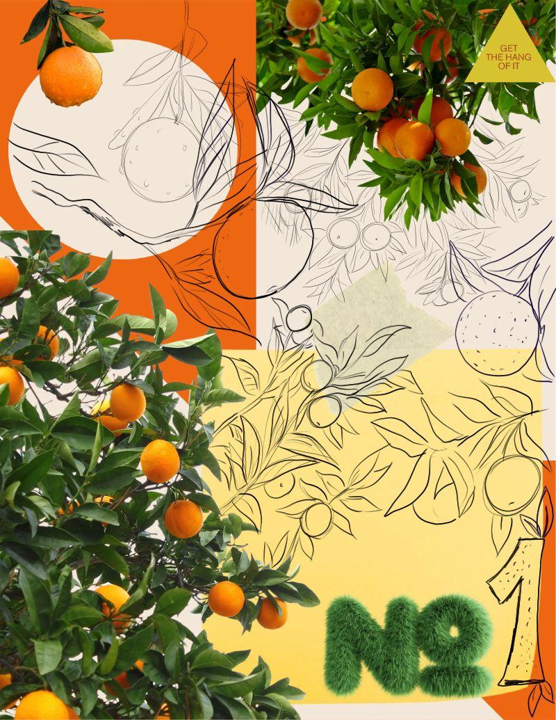 Juicy Journal - image 2 - student project