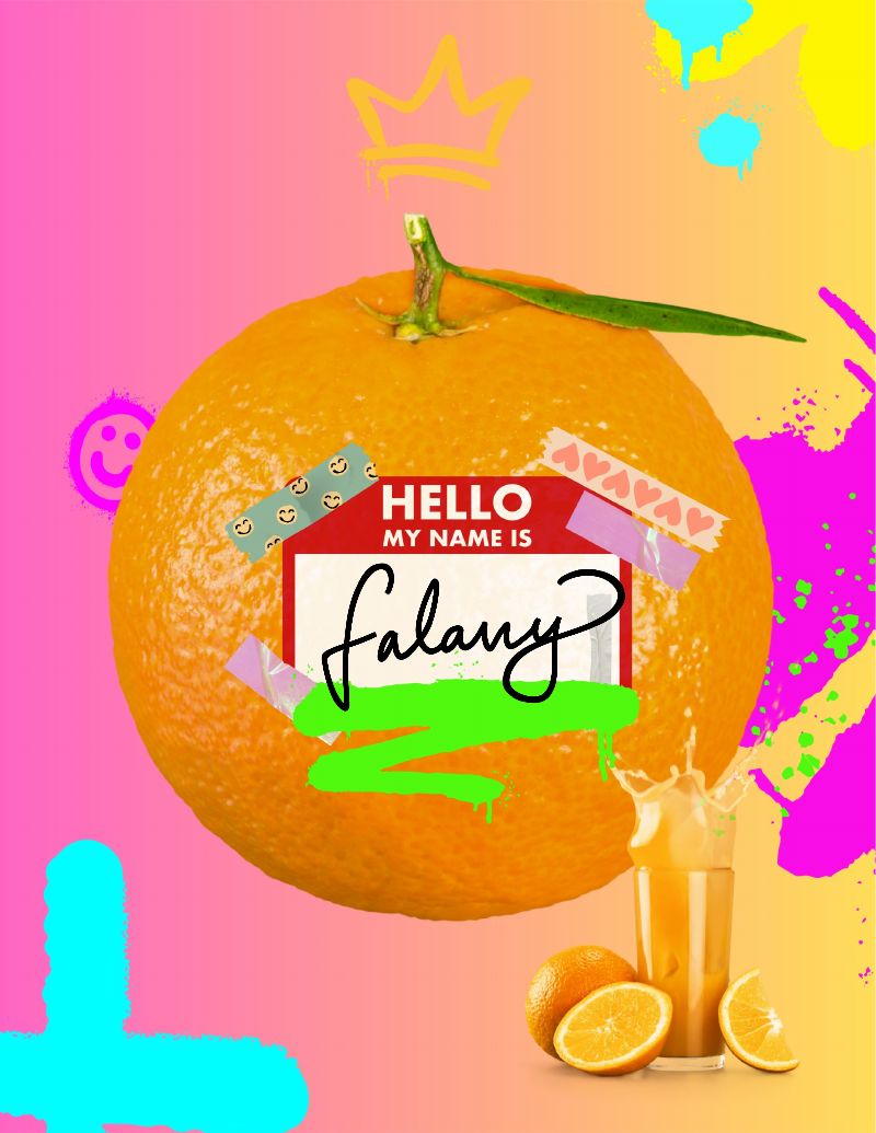 Juicy Journal - image 1 - student project
