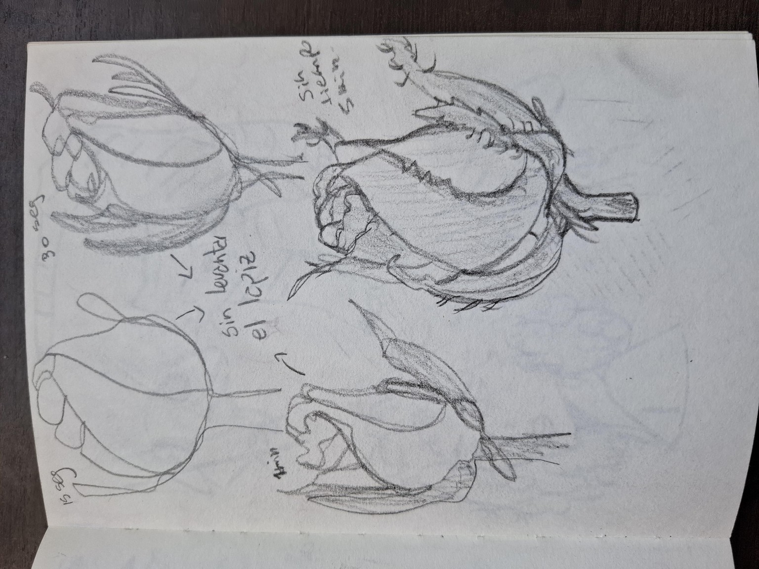 Ejercicios - image 3 - student project