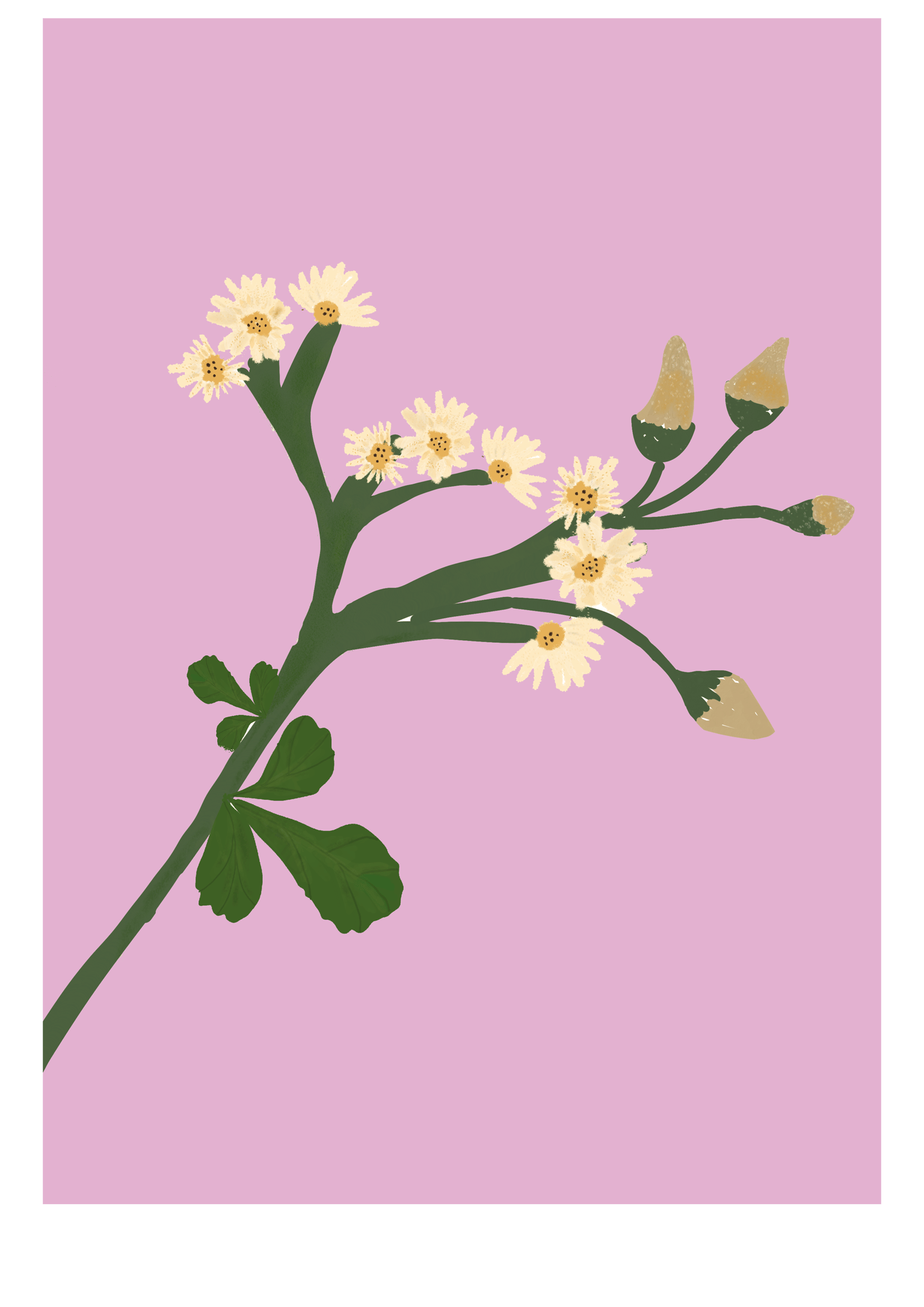 Calm - image 1 - student project