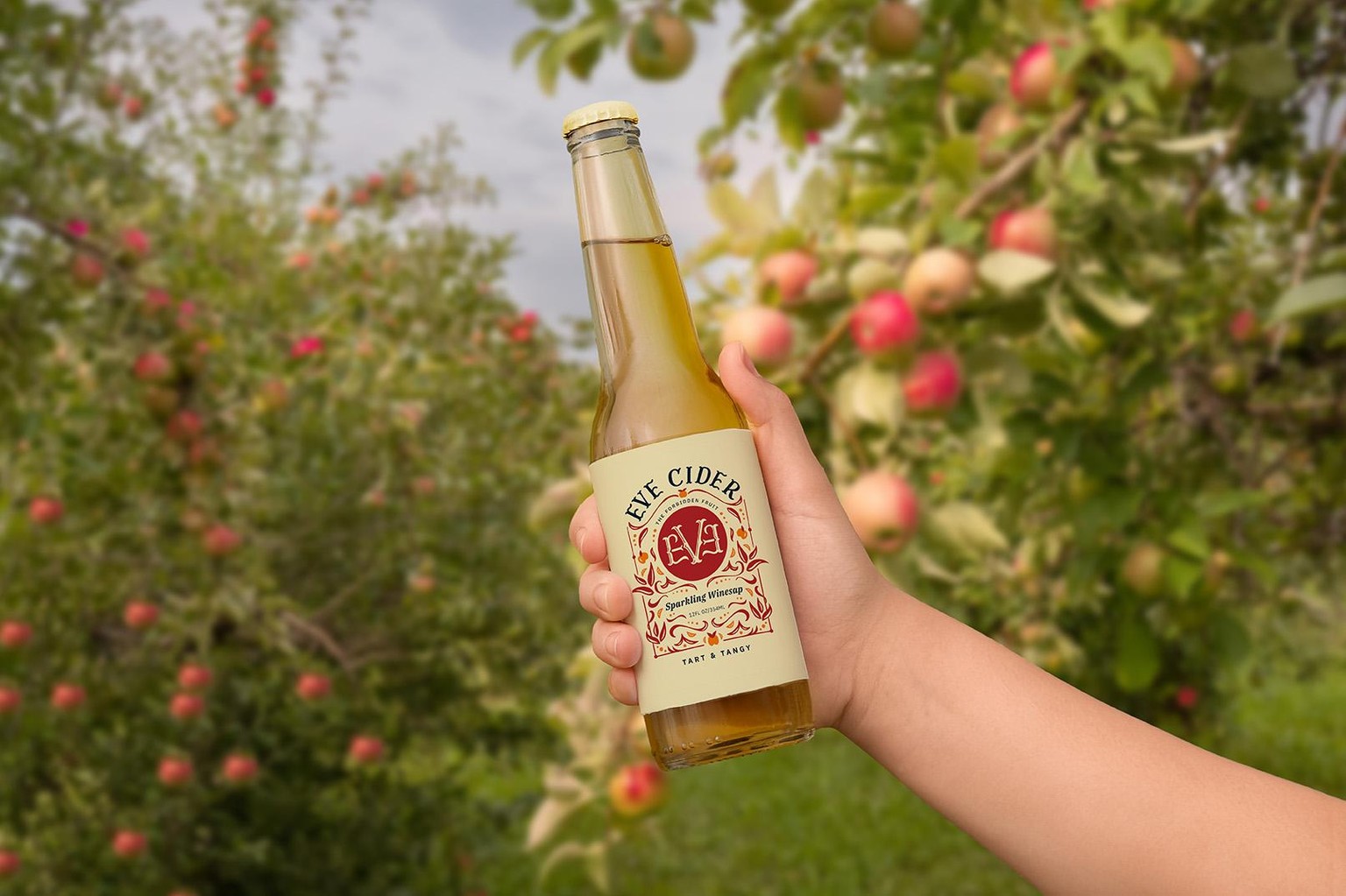 Eve Cider - image 5 - student project