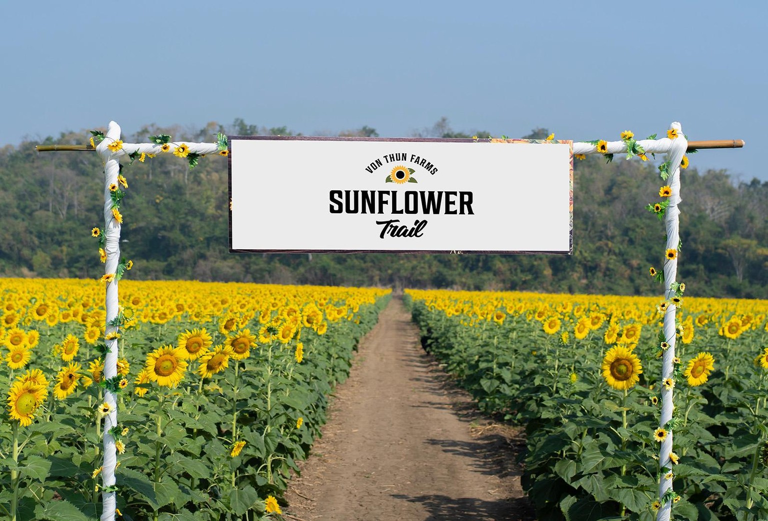 Von Thun Farms - image 8 - student project