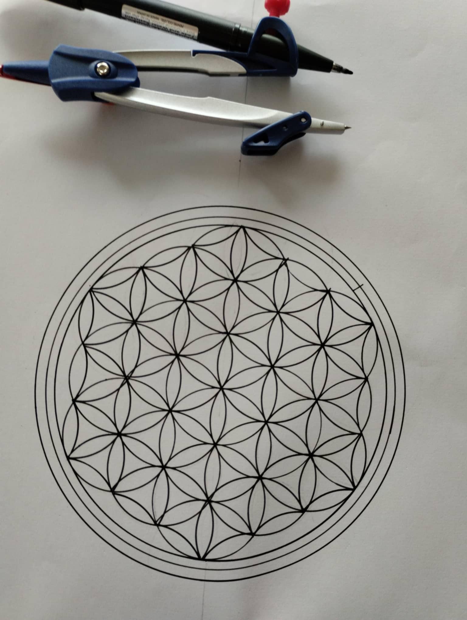 Espiral From Vesica Piscis - image 4 - student project