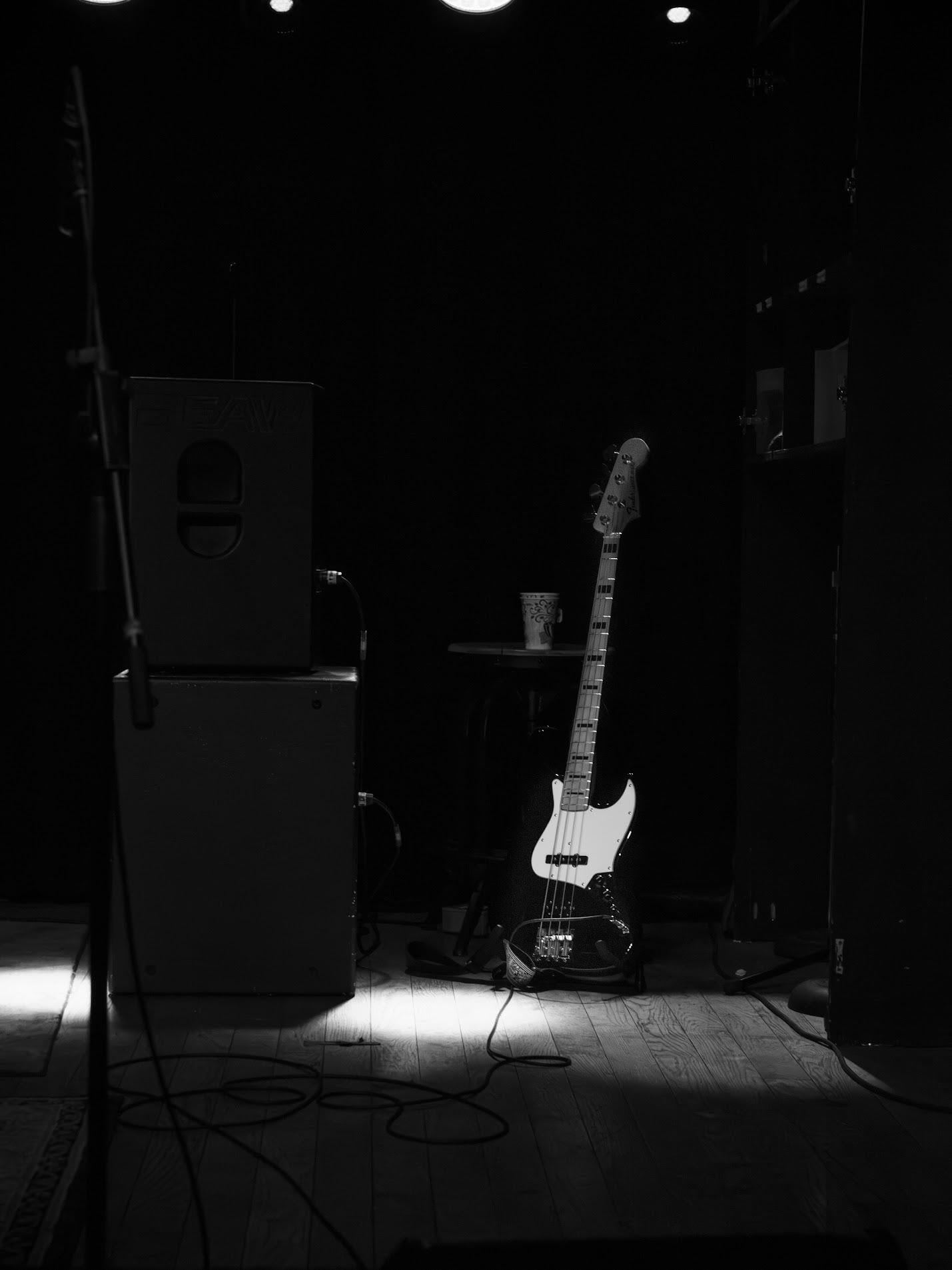 Nik Parr and The Selfless Lovers at the Asheville Music Hall - image 2 - student project