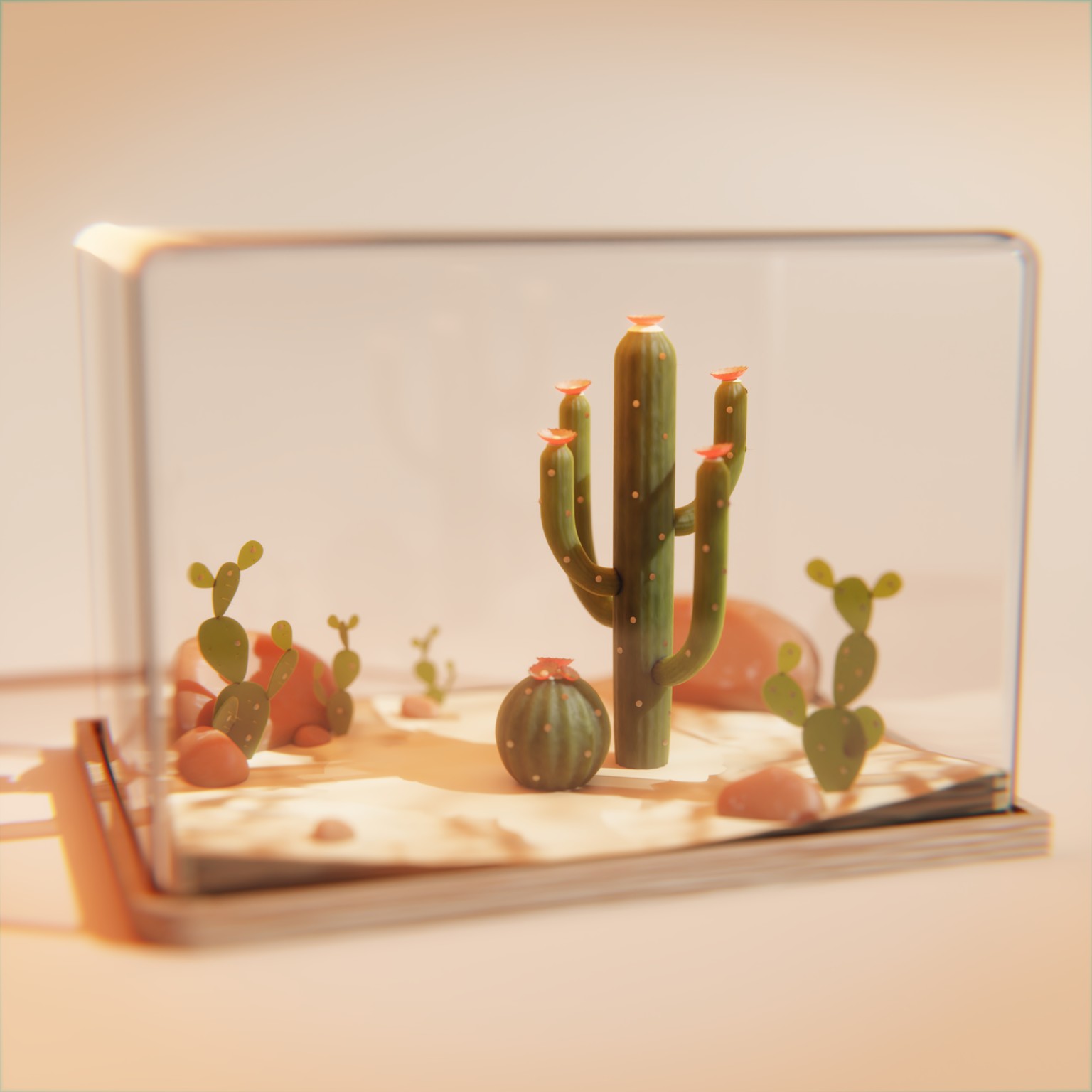 Terrarium - Desert Version - image 1 - student project