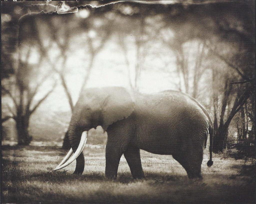 Big Life Foundation - image 5 - student project