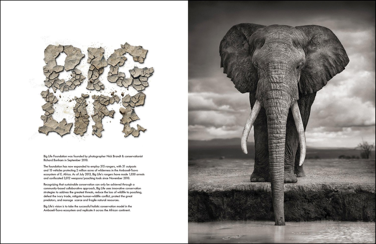 Big Life Foundation - image 1 - student project