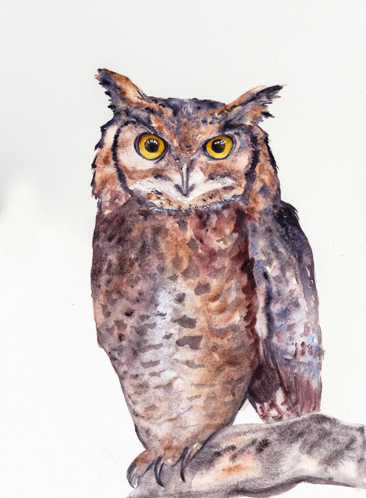 Eagle owl - image 4 - student project