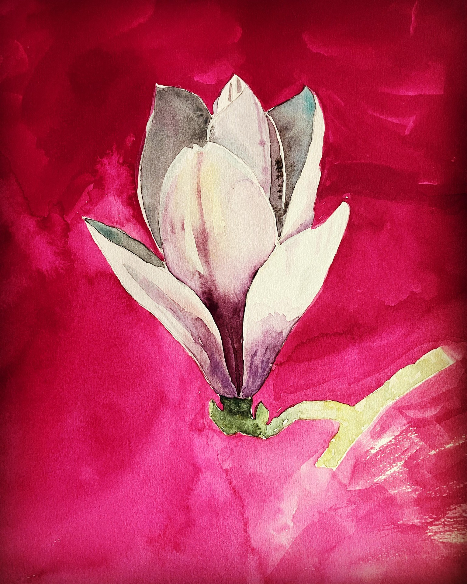 Magnolia challenge - image 1 - student project