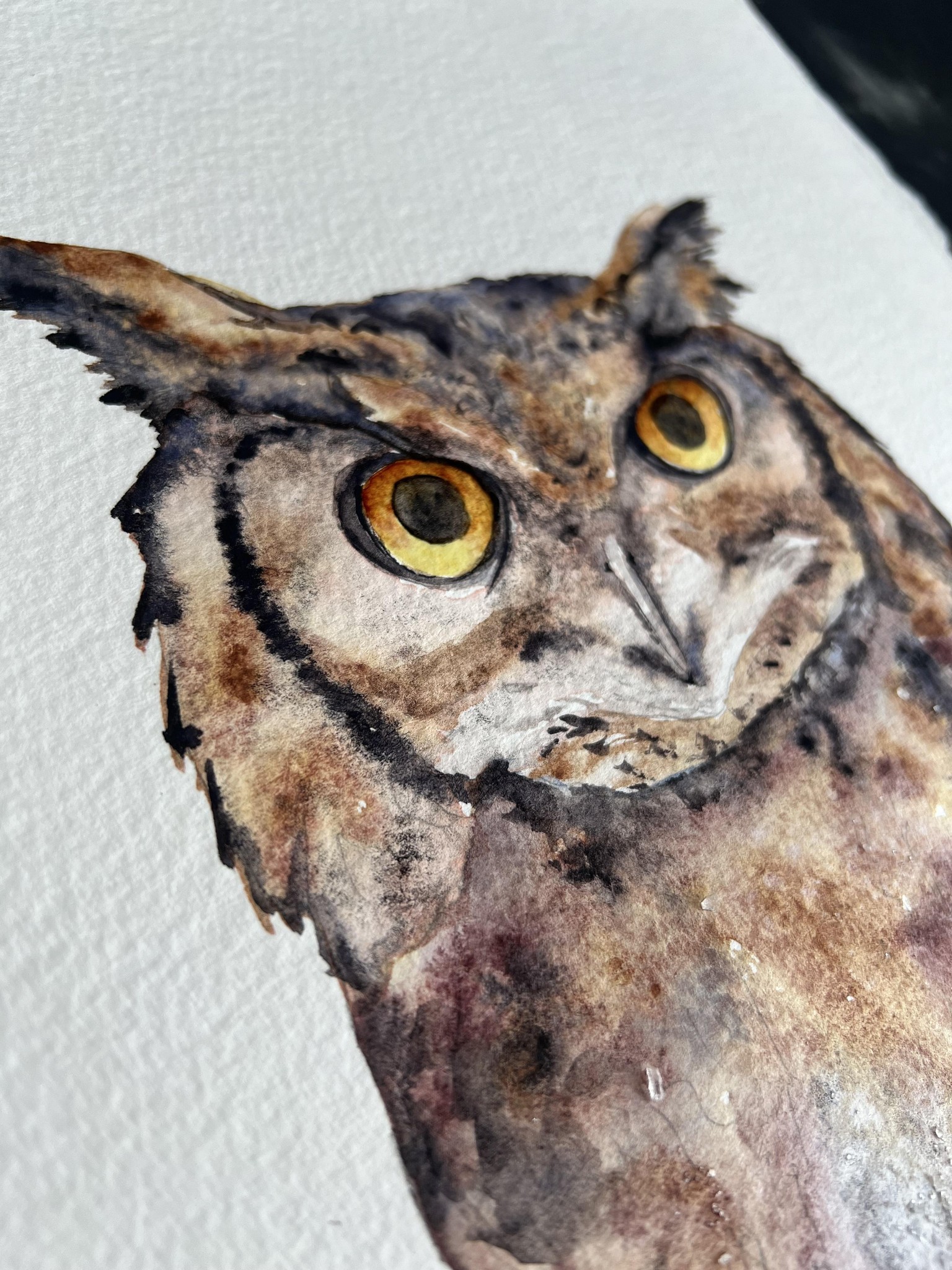 Eagle owl - image 3 - student project
