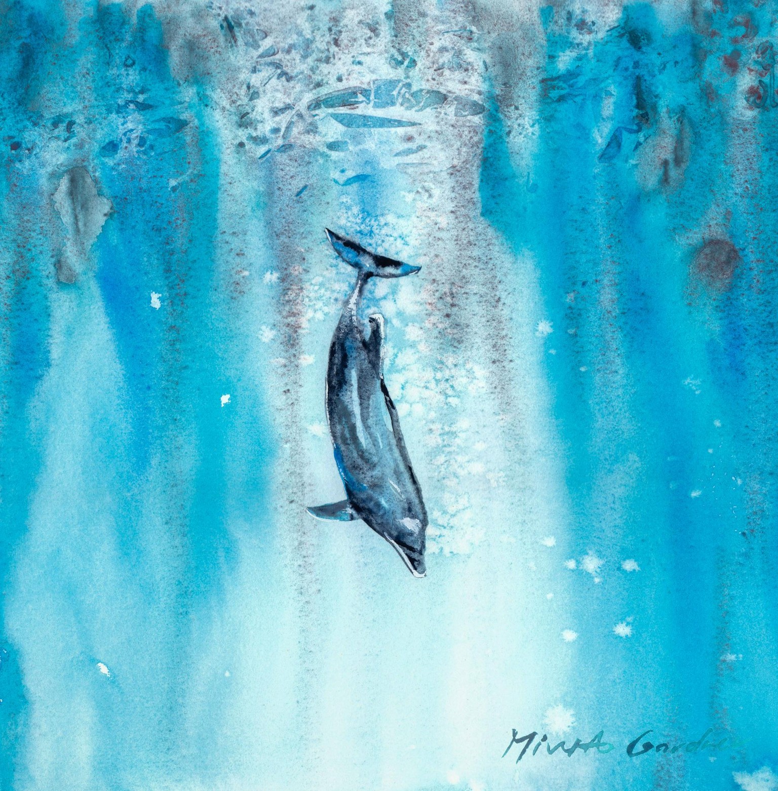 Loner dolphin - image 1 - student project