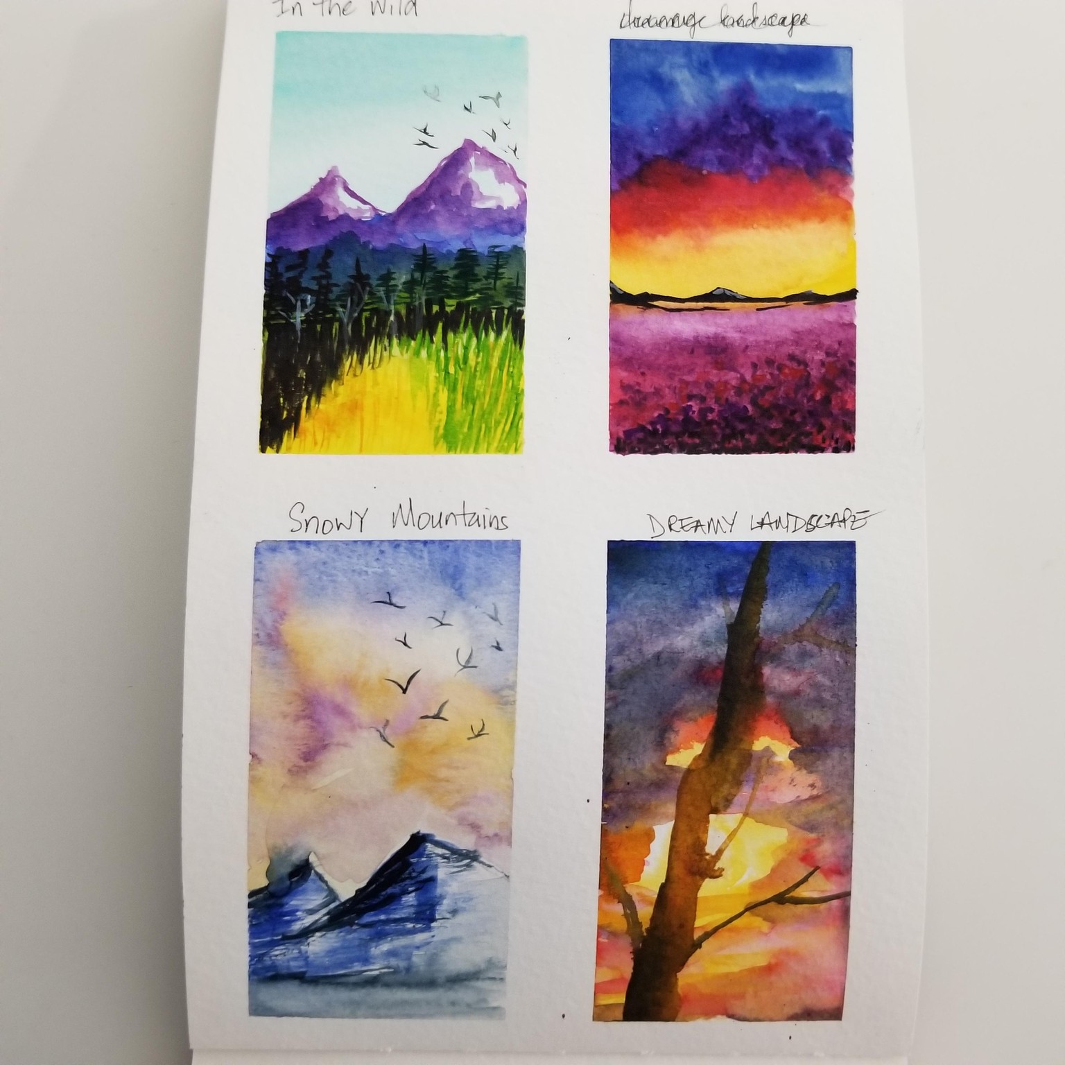 Quick & Easy Watercolor Landscape - image 2 - student project