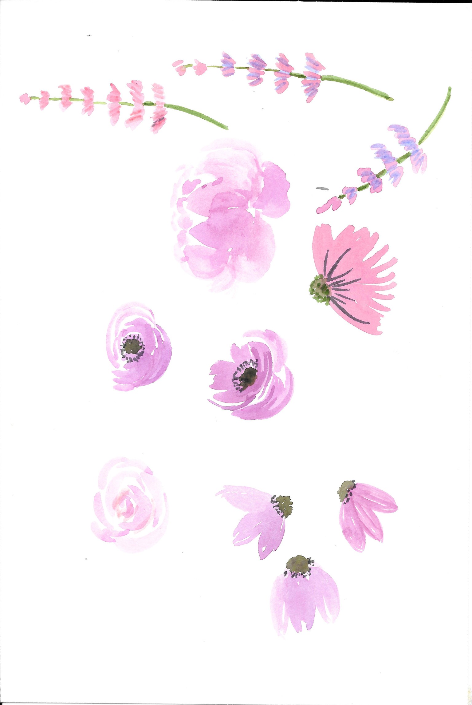 Florals - image 3 - student project