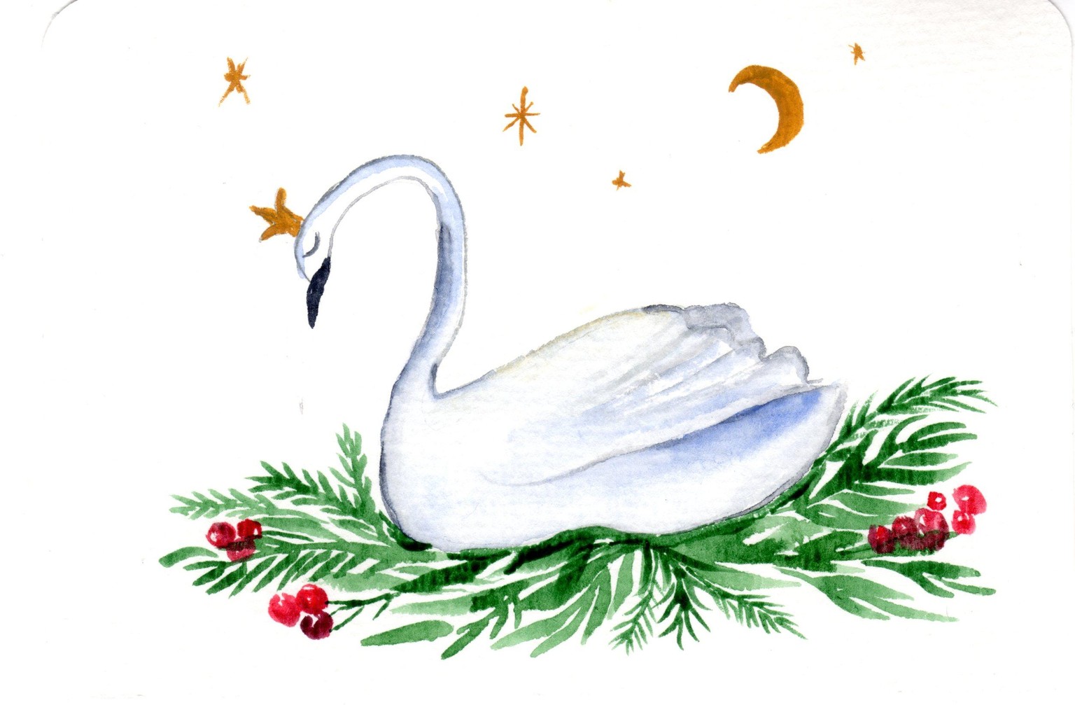 Watercolor Swan Card - image 1 - student project