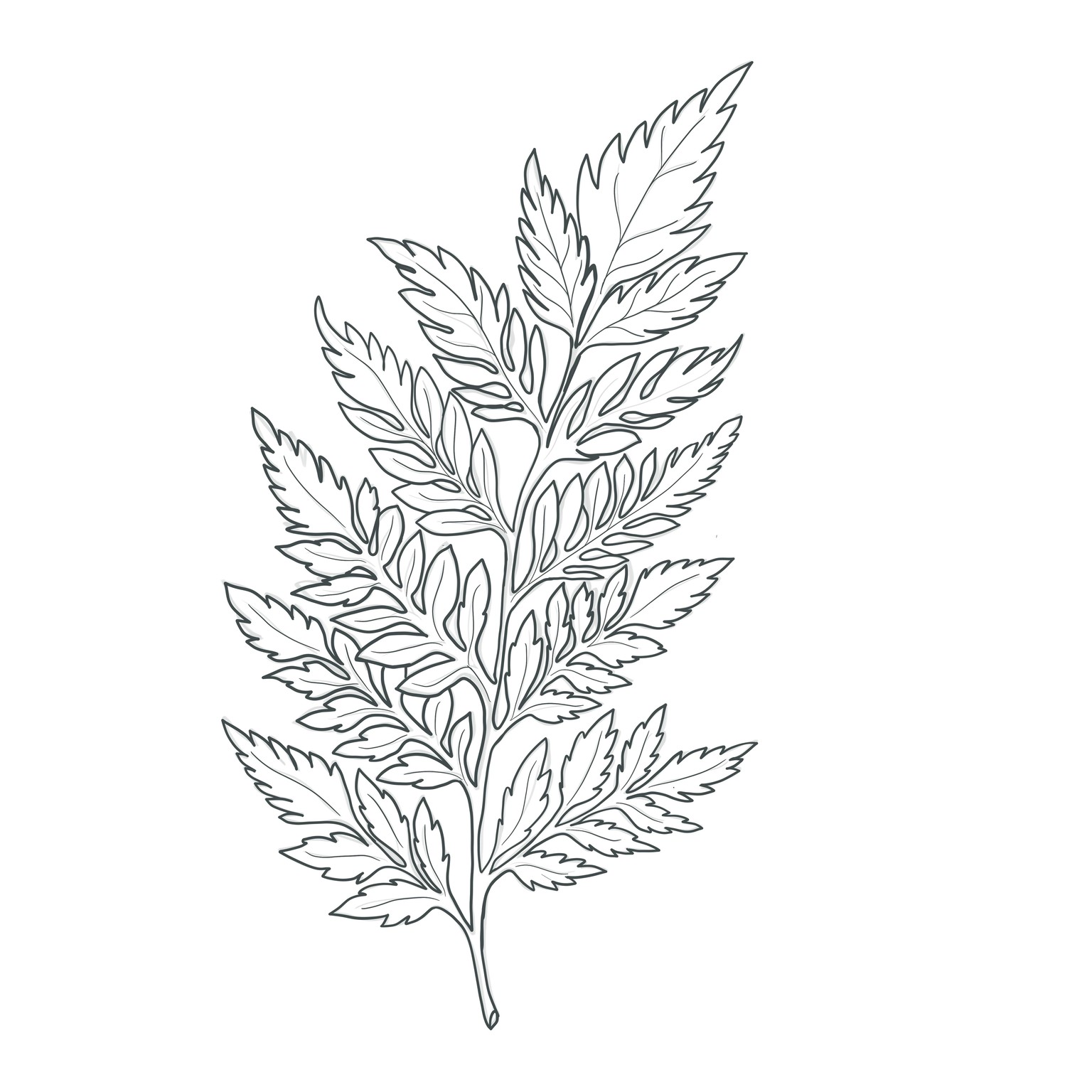 Saved Preset Sizes of Brush - image 1 - student project