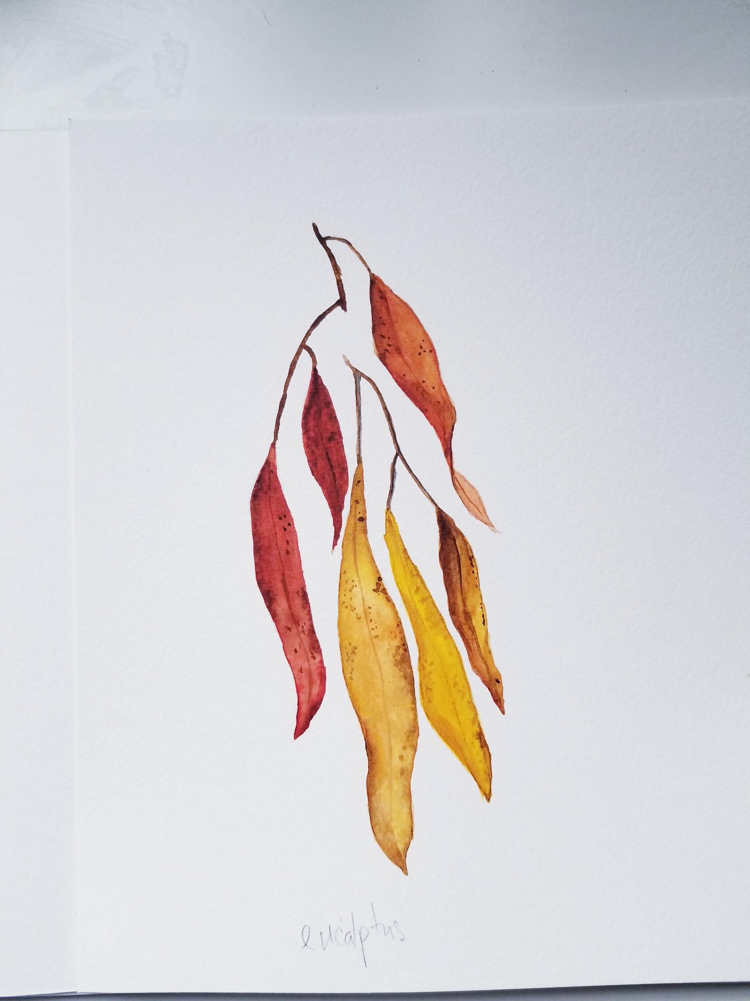 Watercolor Fall leaves - image 3 - student project