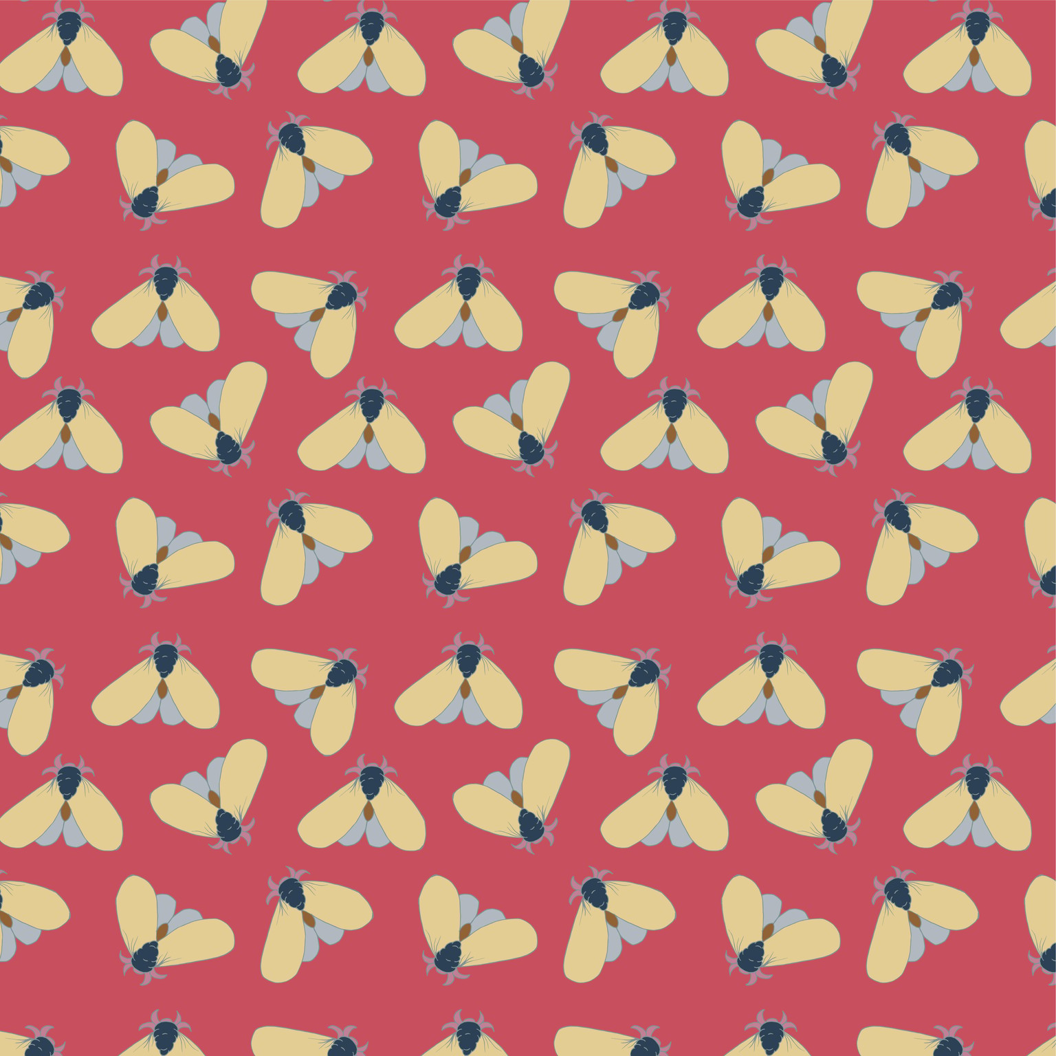 Moths - image 1 - student project