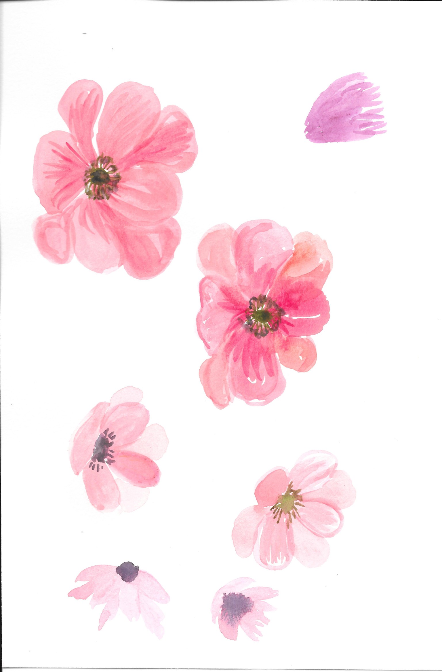 Florals - image 1 - student project
