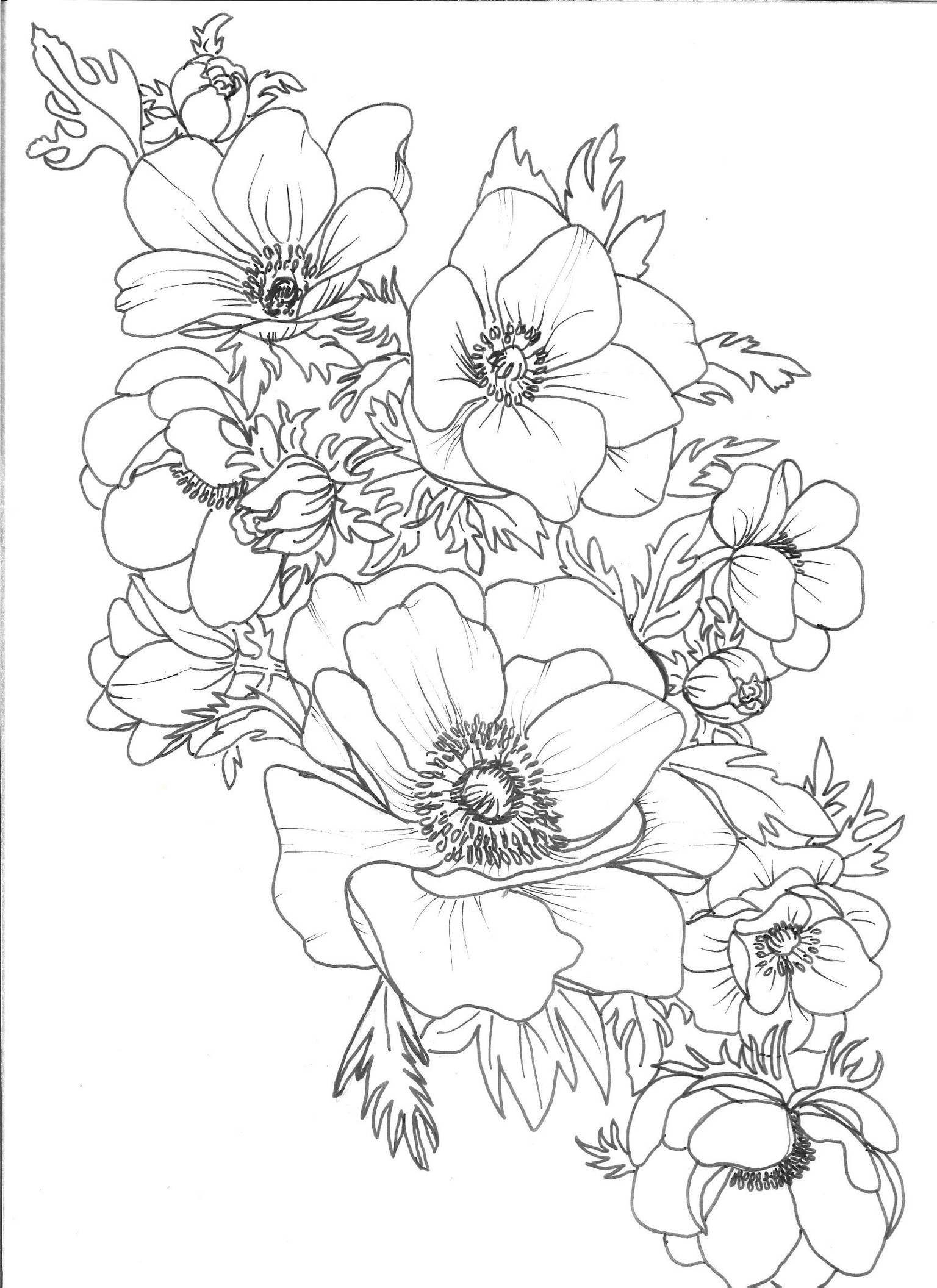 Anemone Wedding Suite Template - image 2 - student project