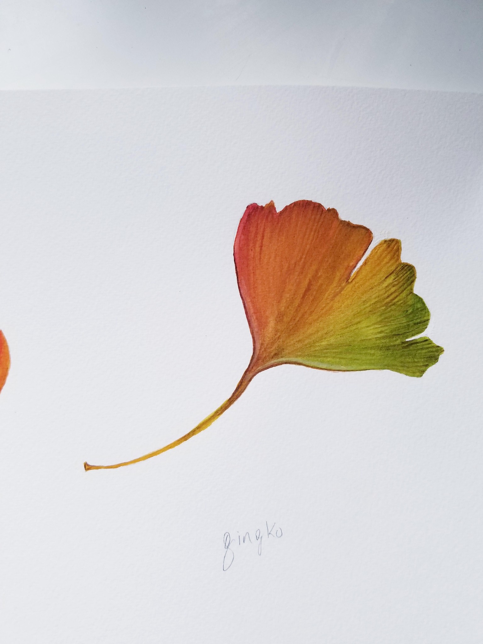 Watercolor Fall leaves - image 4 - student project