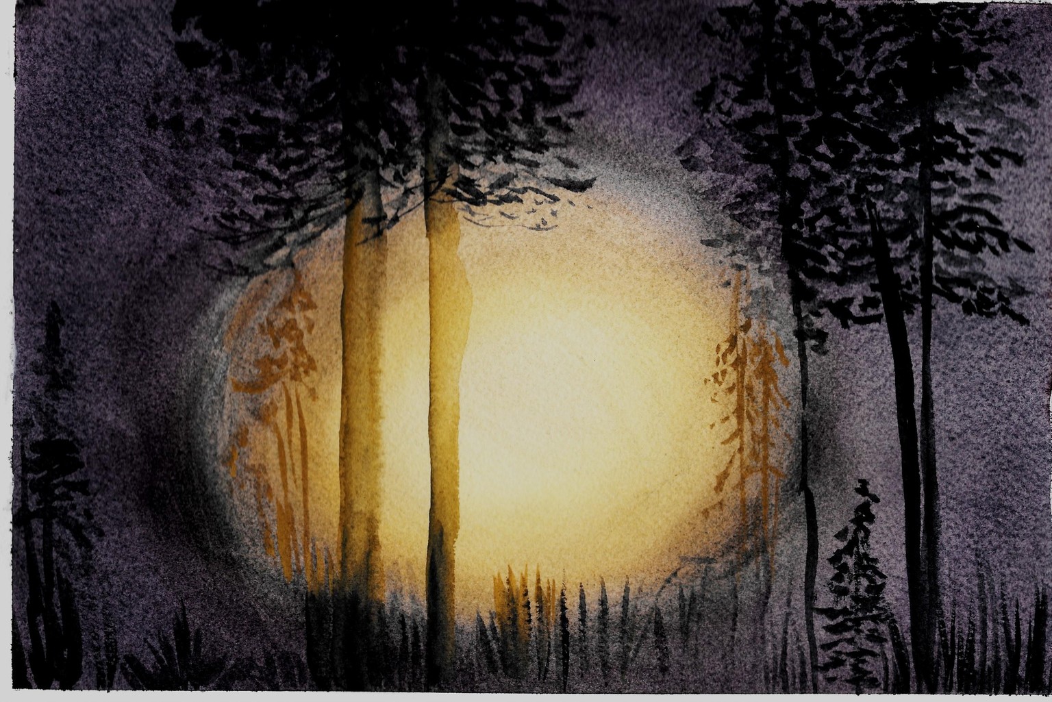 Light In The Pines - image 2 - student project