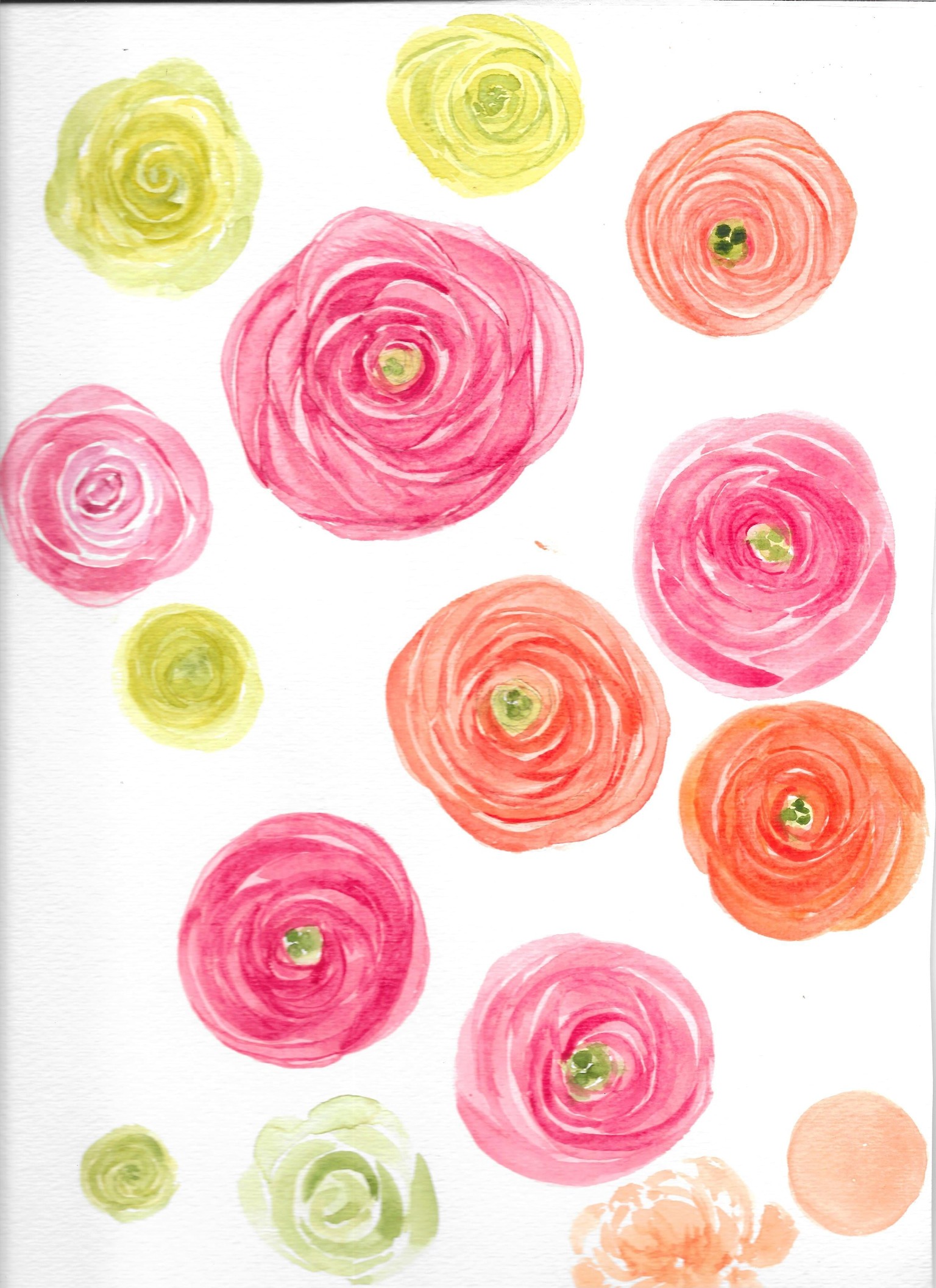 Ranunculus - Three Ways - image 3 - student project