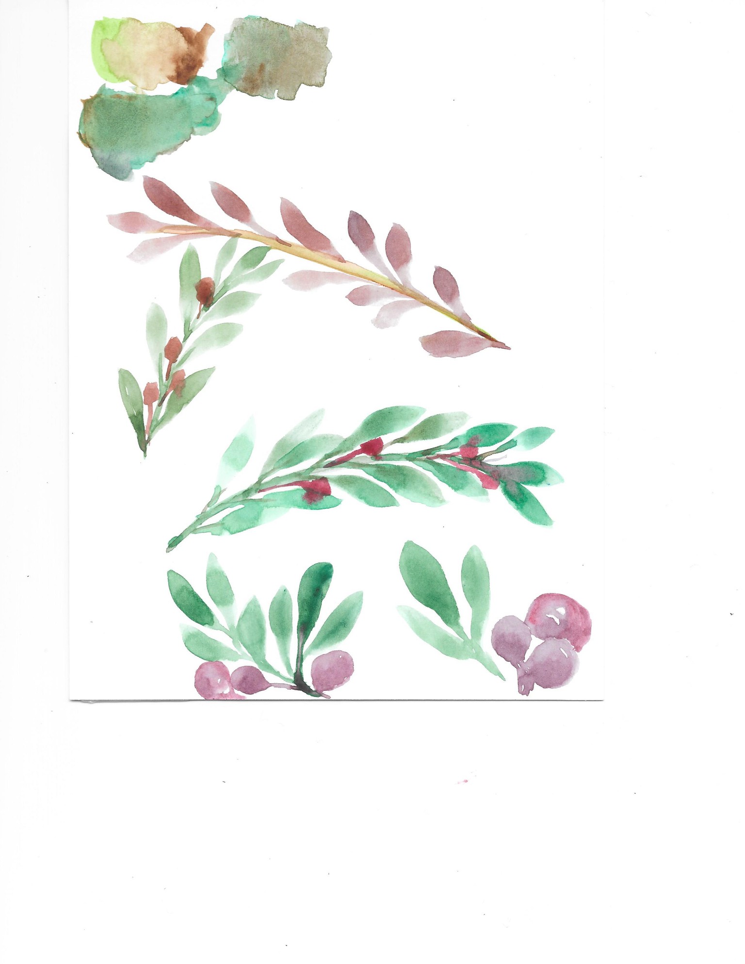 Olive Branch & Flowers - image 1 - student project