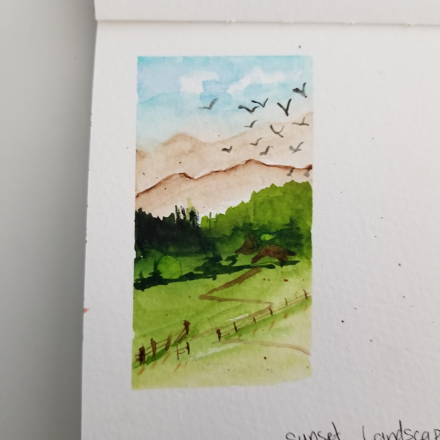 Quick & Easy Watercolor Landscape - image 1 - student project