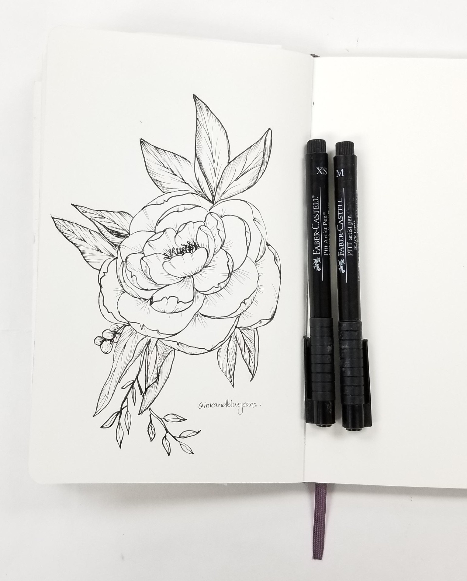 Peony in ink - image 1 - student project