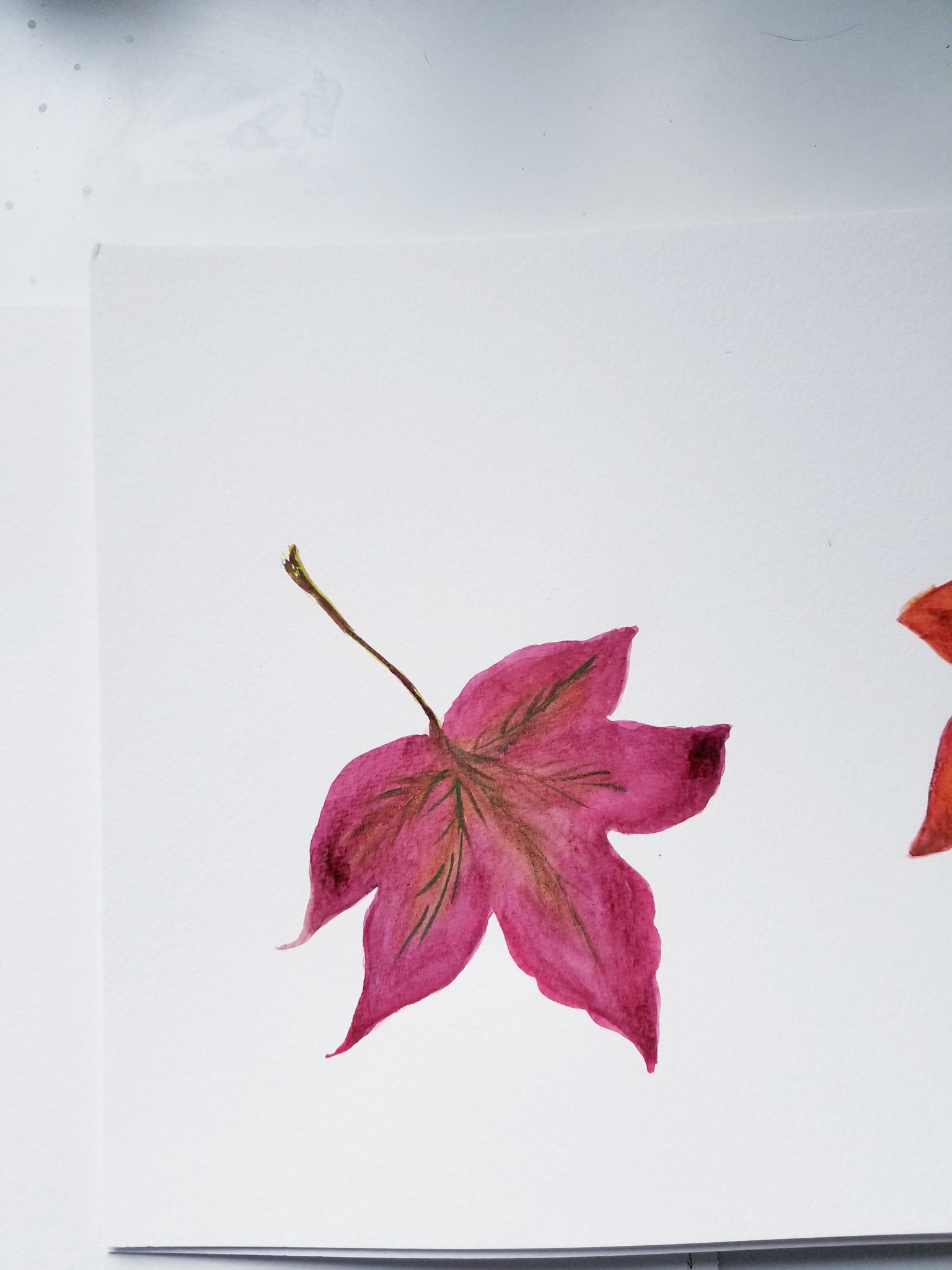 Watercolor Fall leaves - image 8 - student project