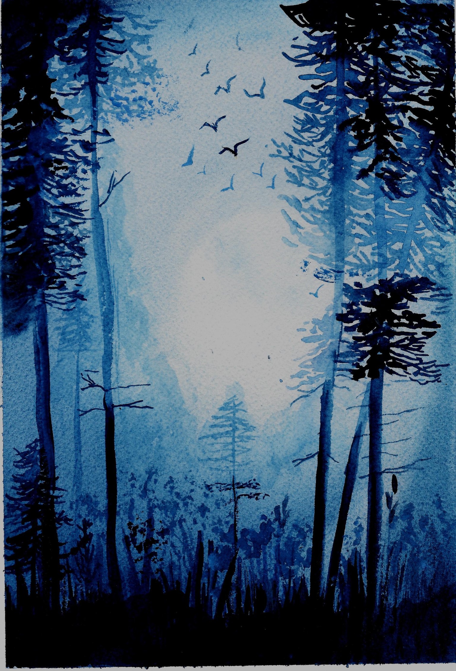 Light In The Pines - image 1 - student project