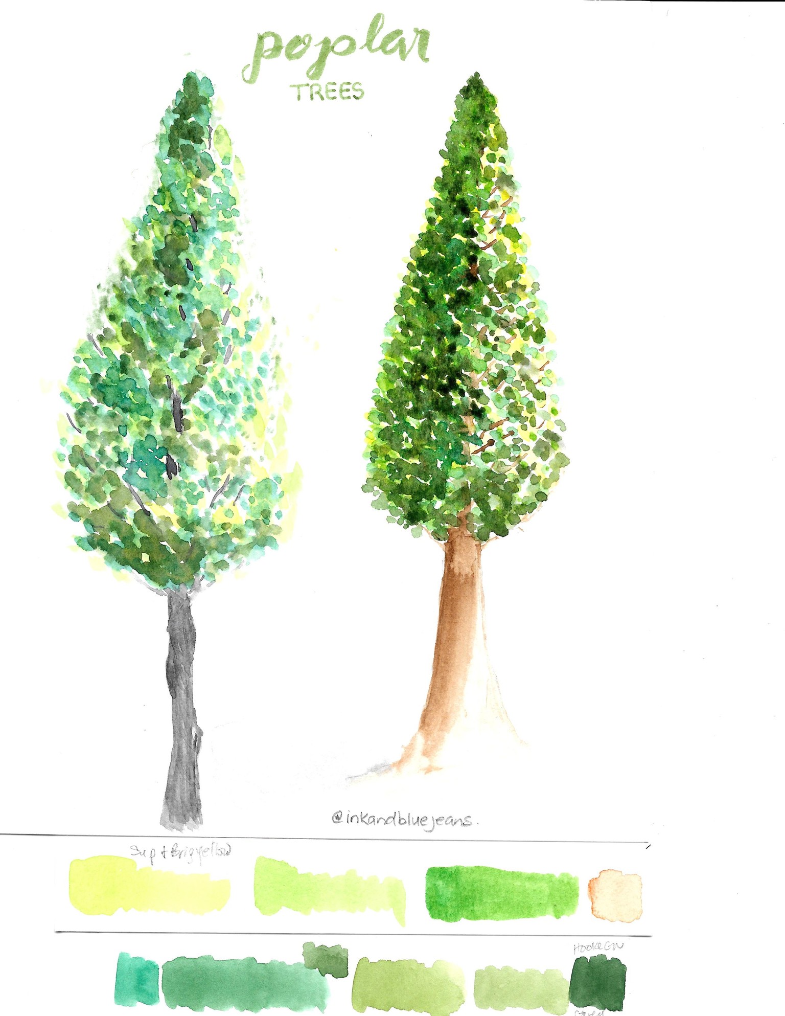 Poplar Treet - image 1 - student project