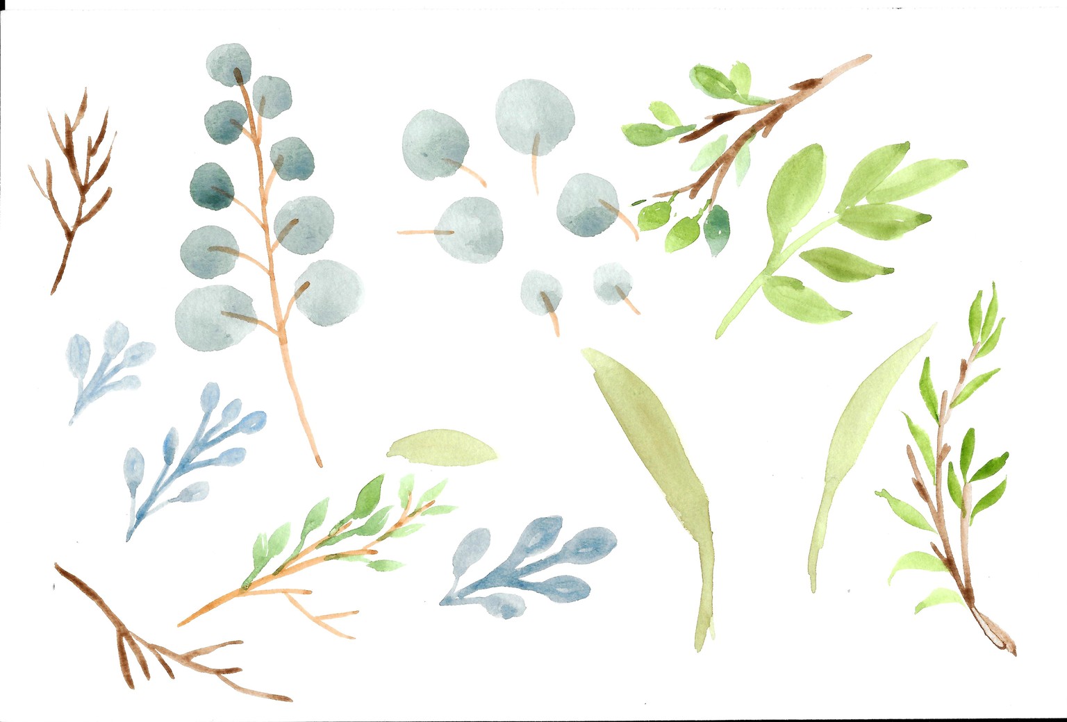 Florals - image 2 - student project