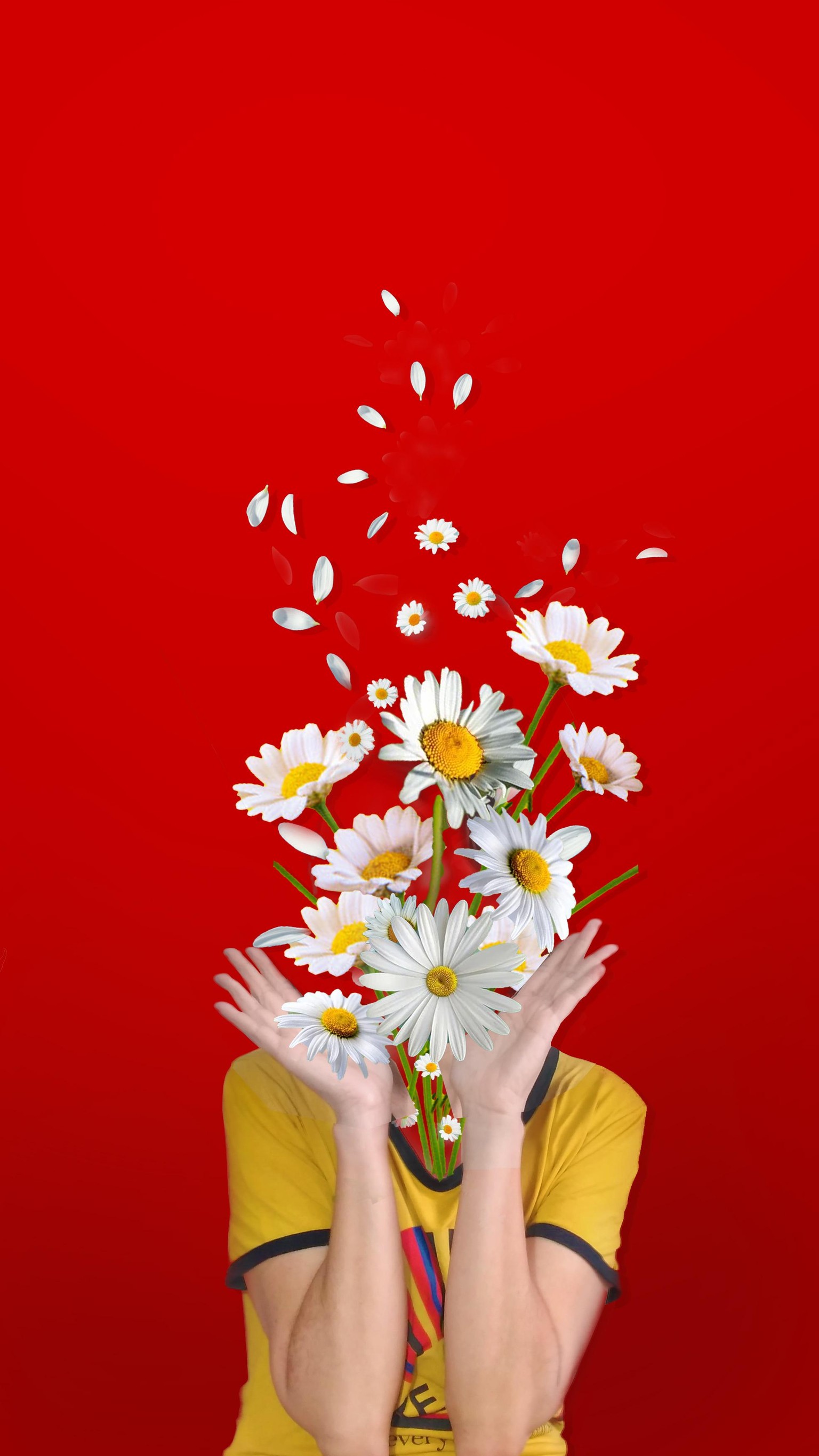 margarida - image 1 - student project