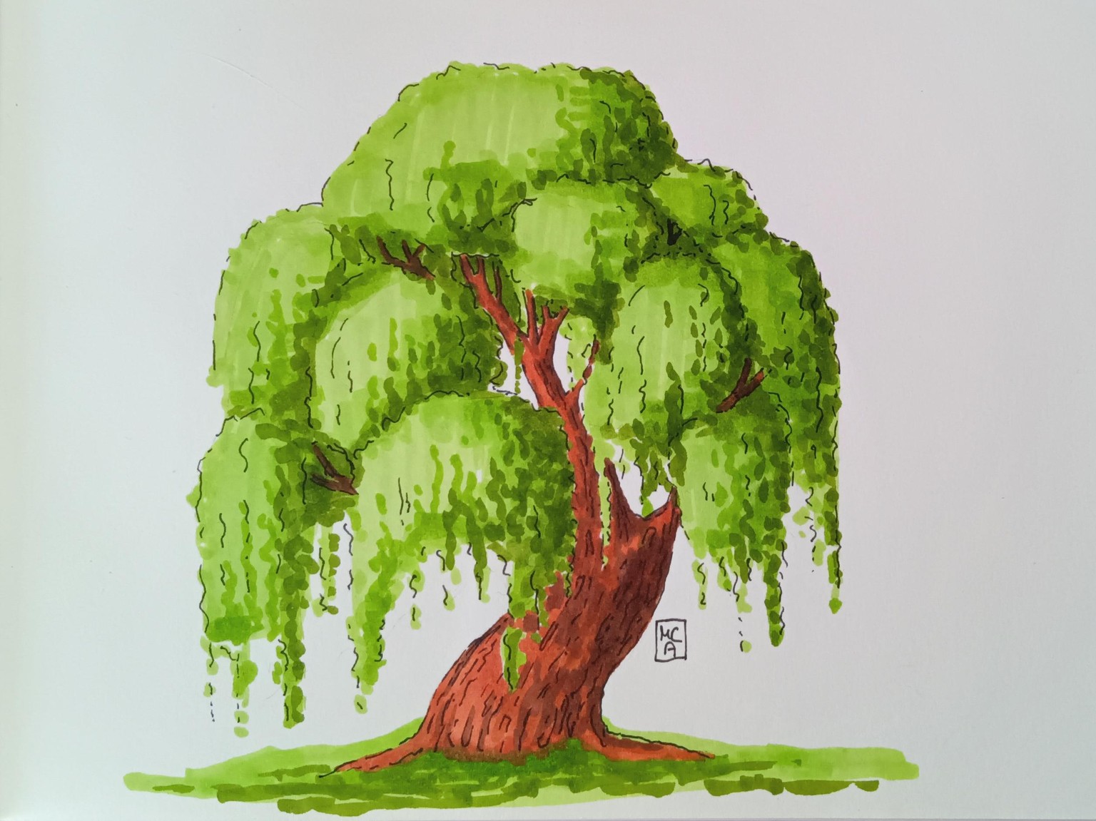 Willow tree - image 1 - student project