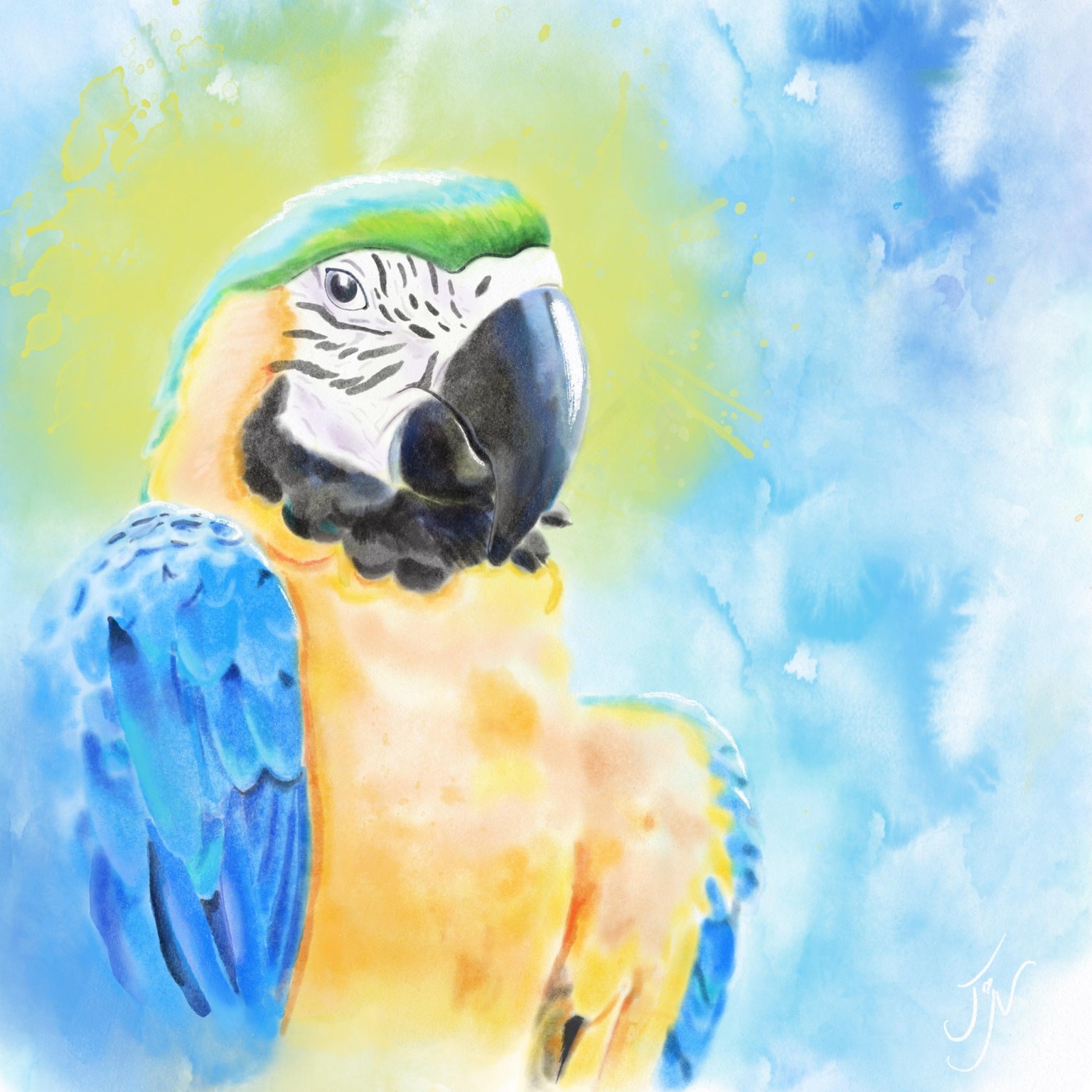 Parrots - image 2 - student project
