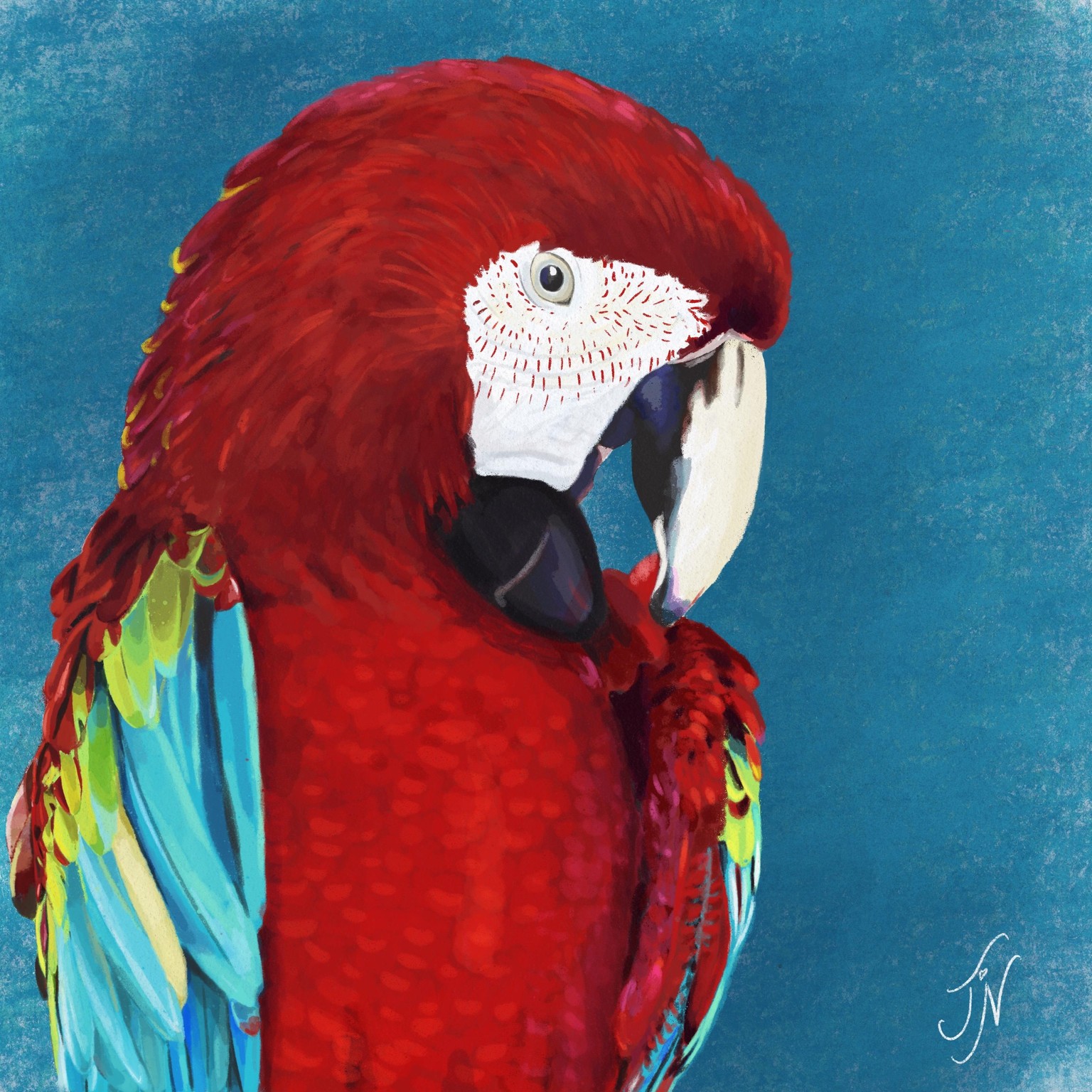 Parrots - image 1 - student project