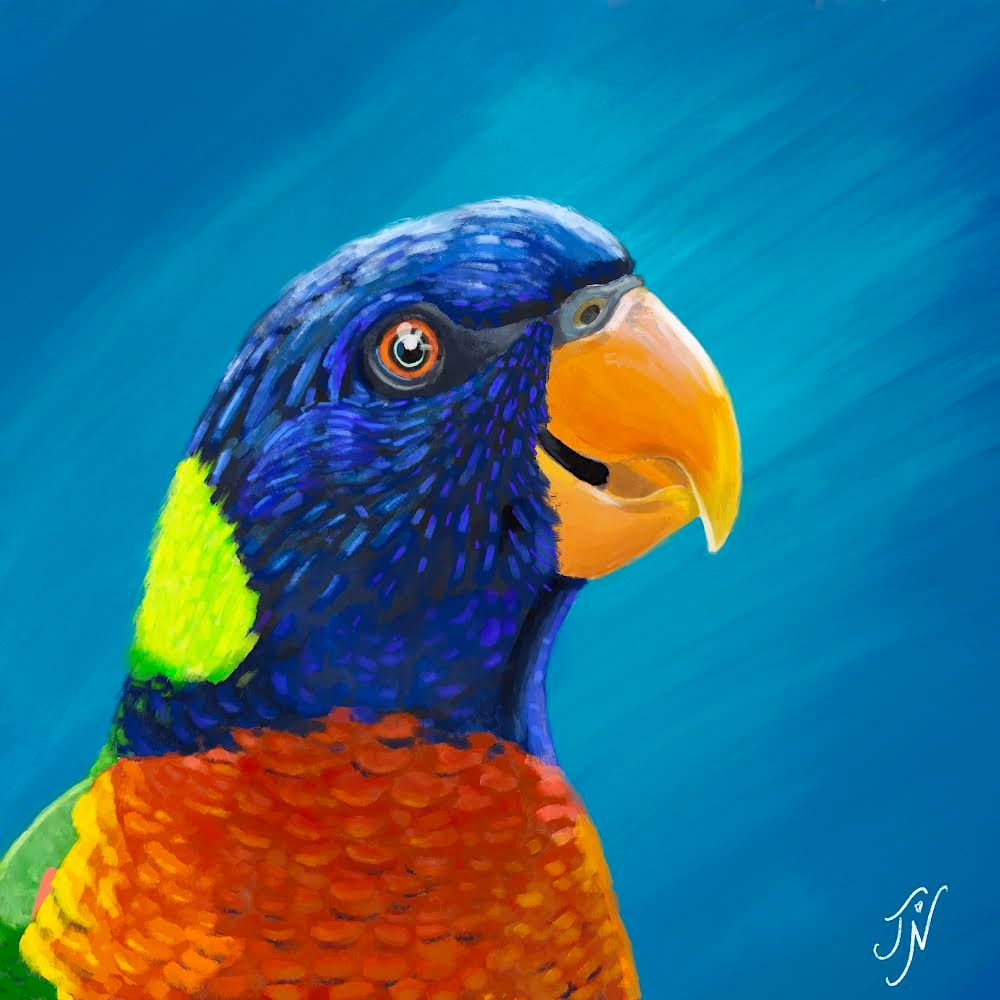 Parrots - image 3 - student project
