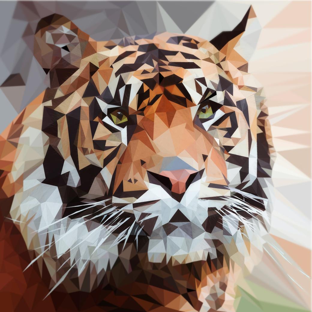 Tiger Triangle portrait - image 1 - student project
