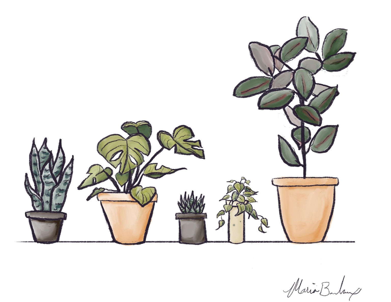 Plant Studies - image 3 - student project