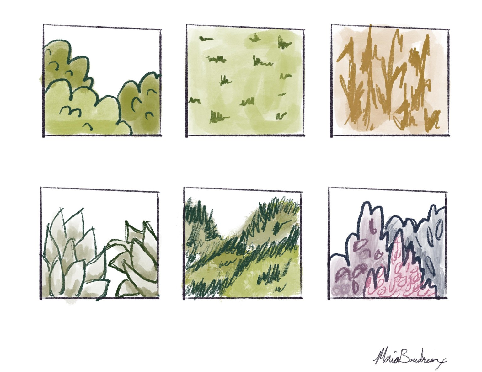 Plant Studies - image 4 - student project