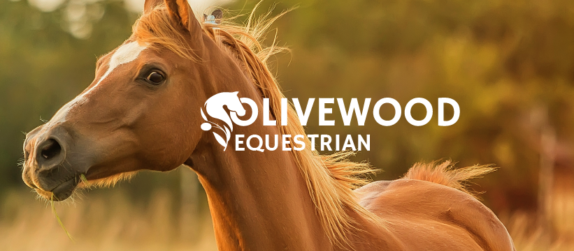 Olivewood Equestrian Rebrand - image 8 - student project