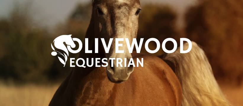 Olivewood Equestrian Rebrand - image 9 - student project