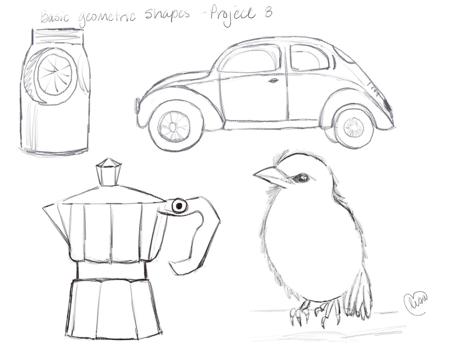 Observation classes - image 2 - student project